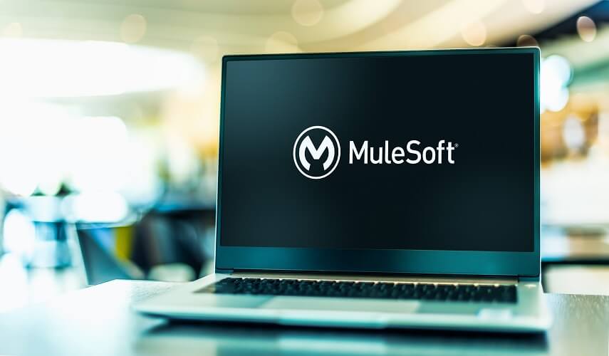 mulesoft-services-zencloudtech