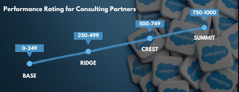 Salesforce Consulting Partner